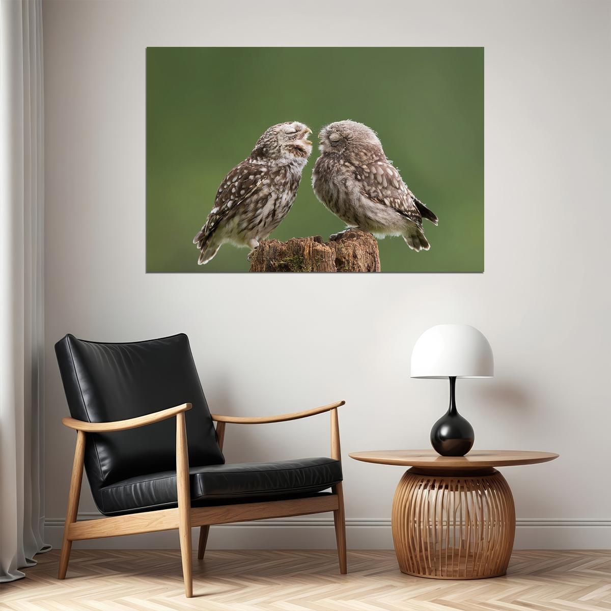 Two Cute Owls With Eyes Closed Animals Nature Life Poster Wall Art Print Home Wall Decor - xonomax