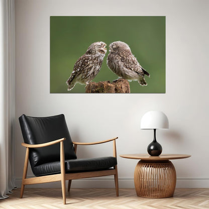 Two Cute Owls With Eyes Closed Animals Nature Life Poster Wall Art Print Home Wall Decor - xonomax