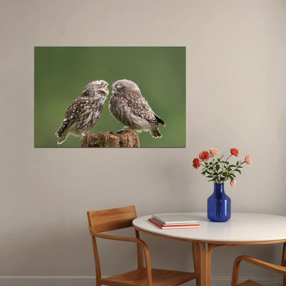 Two Cute Owls With Eyes Closed Animals Nature Life Poster Wall Art Print Home Wall Decor - xonomax