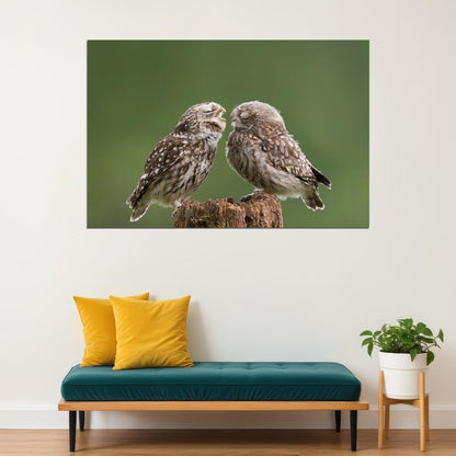 Two Cute Owls With Eyes Closed Animals Nature Life Poster Wall Art Print Home Wall Decor - xonomax