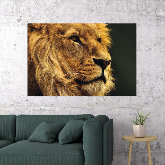 Wild Lion Dangerous Animals Nature Poster Wall Art Print Home Wall Decor - xonomax