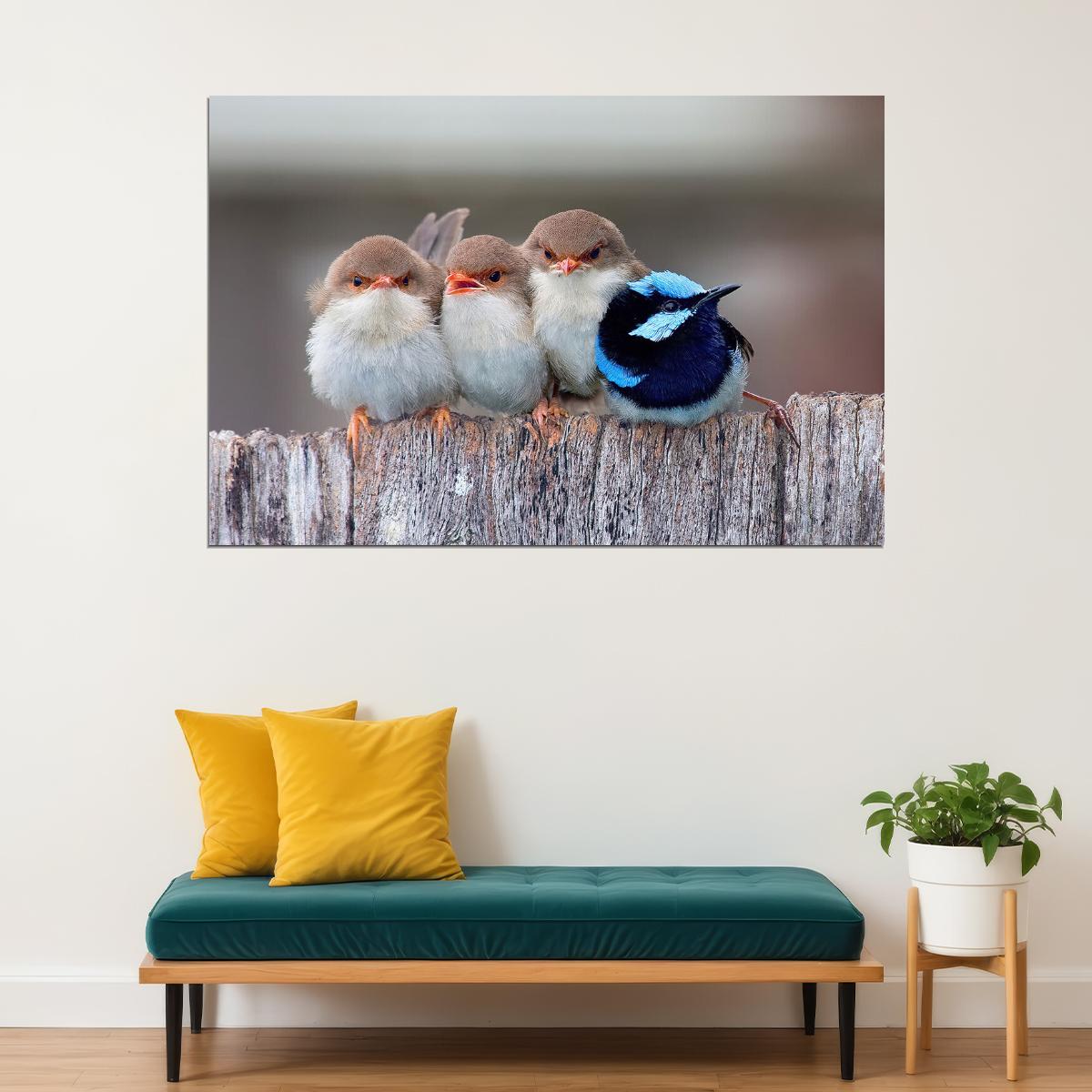 Cute Cuddling Birds Nature Life Poster Wall Art Print Home Wall Decor - xonomax