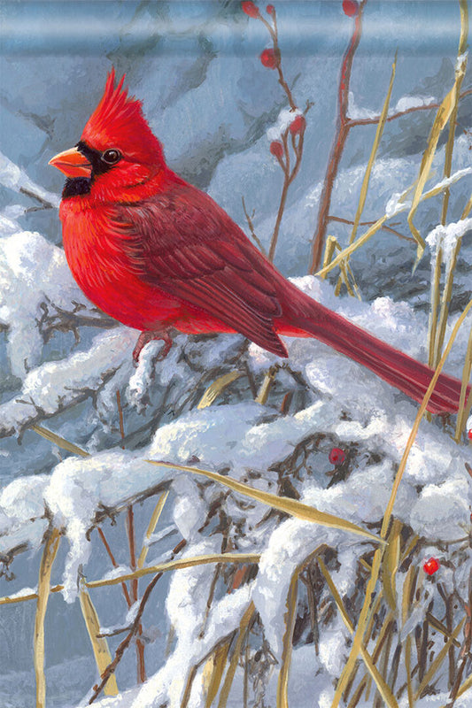 Red Cardinal Winter Bird Artist Rendition Poster Wall Art Print Home Wall Decor - xonomax