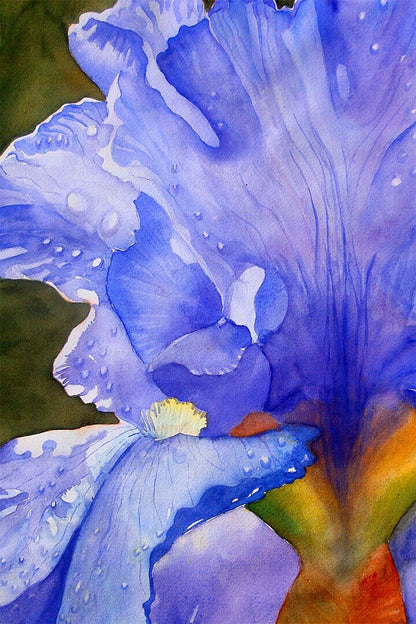 Iris Flower Oil Paint Purple Colorful Plants Poster Wall Art Print Home Wall Decor - xonomax