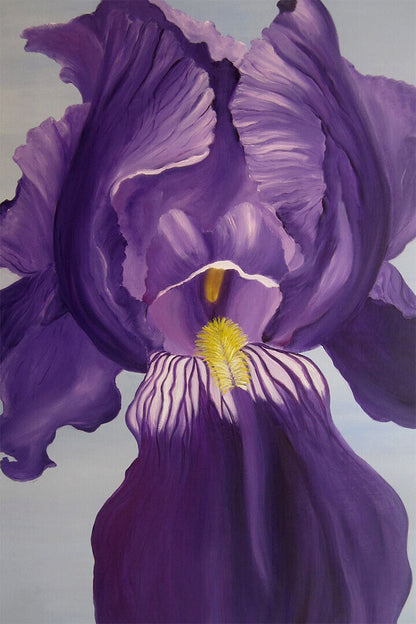 Flower Purple Iris Colorful Plants Poster Wall Art Print Home Wall Decor - xonomax