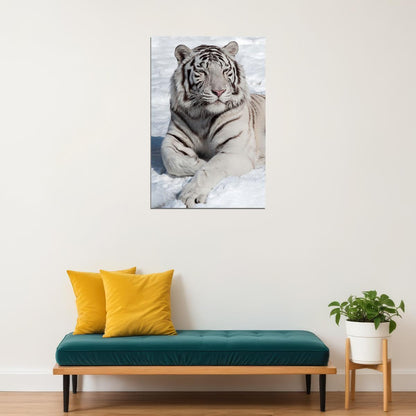 Tiger Sitting On The Snows Poster Wall Art Print Home Wall Decor - xonomax