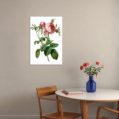 Rose Colorful Flowering Plant Drawing Picture Poster Wall Art Print Home Wall Decor
