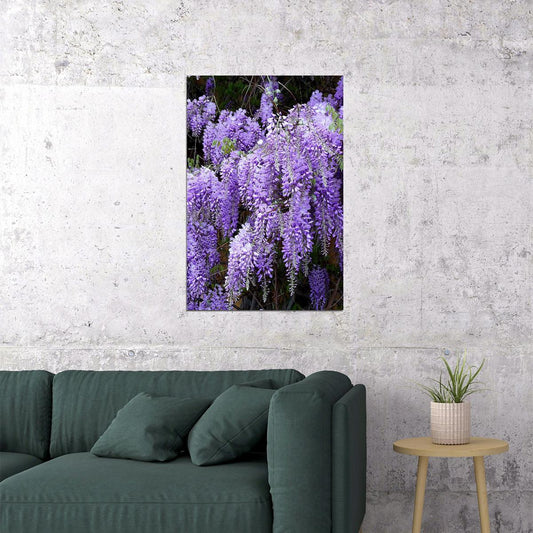 Flowers Wisteria Nature Purple Plant Vintage Poster Wall Art Print Home Wall Decor - xonomax