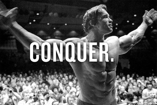Arnold Schwarzenegger Motivation Bodybuilding Poster Wall Art Print Home Wall Decor - xonomax