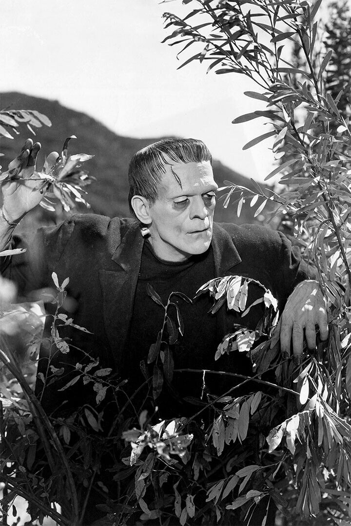 Frankenstein Movie Science Fiction Drama Horror Poster Wall Art Print Home Wall Decor - xonomax