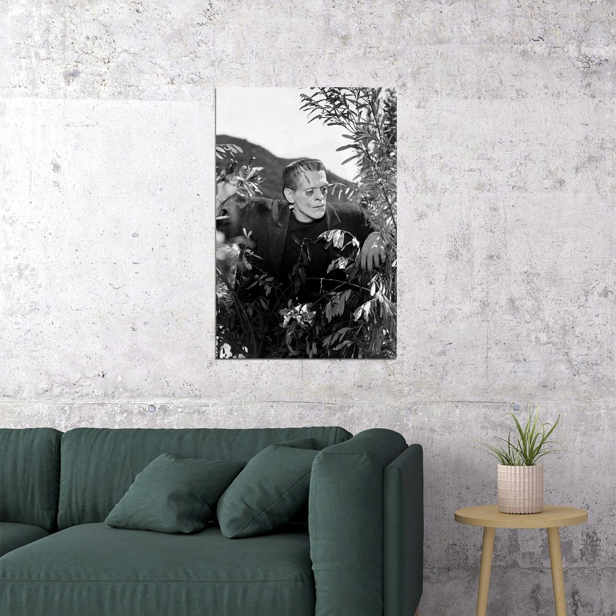 Frankenstein Movie Science Fiction Drama Horror Poster Wall Art Print Home Wall Decor - xonomax