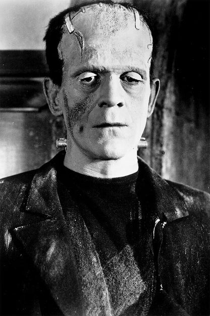 Frankenstein Movie Horror Science Fiction Drama Poster Wall Art Print Home Wall Decor - xonomax