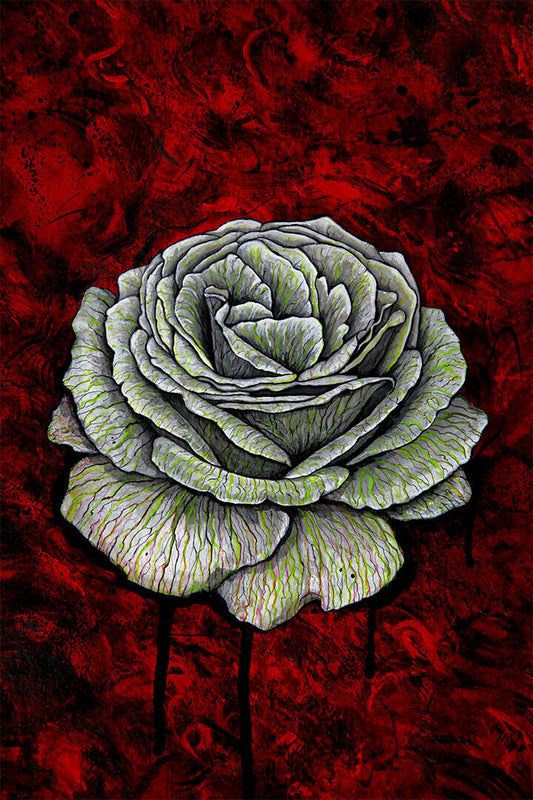 Rose Colorful Flowering Plant Drawing Picture Poster Wall Art Print Home Wall Decor