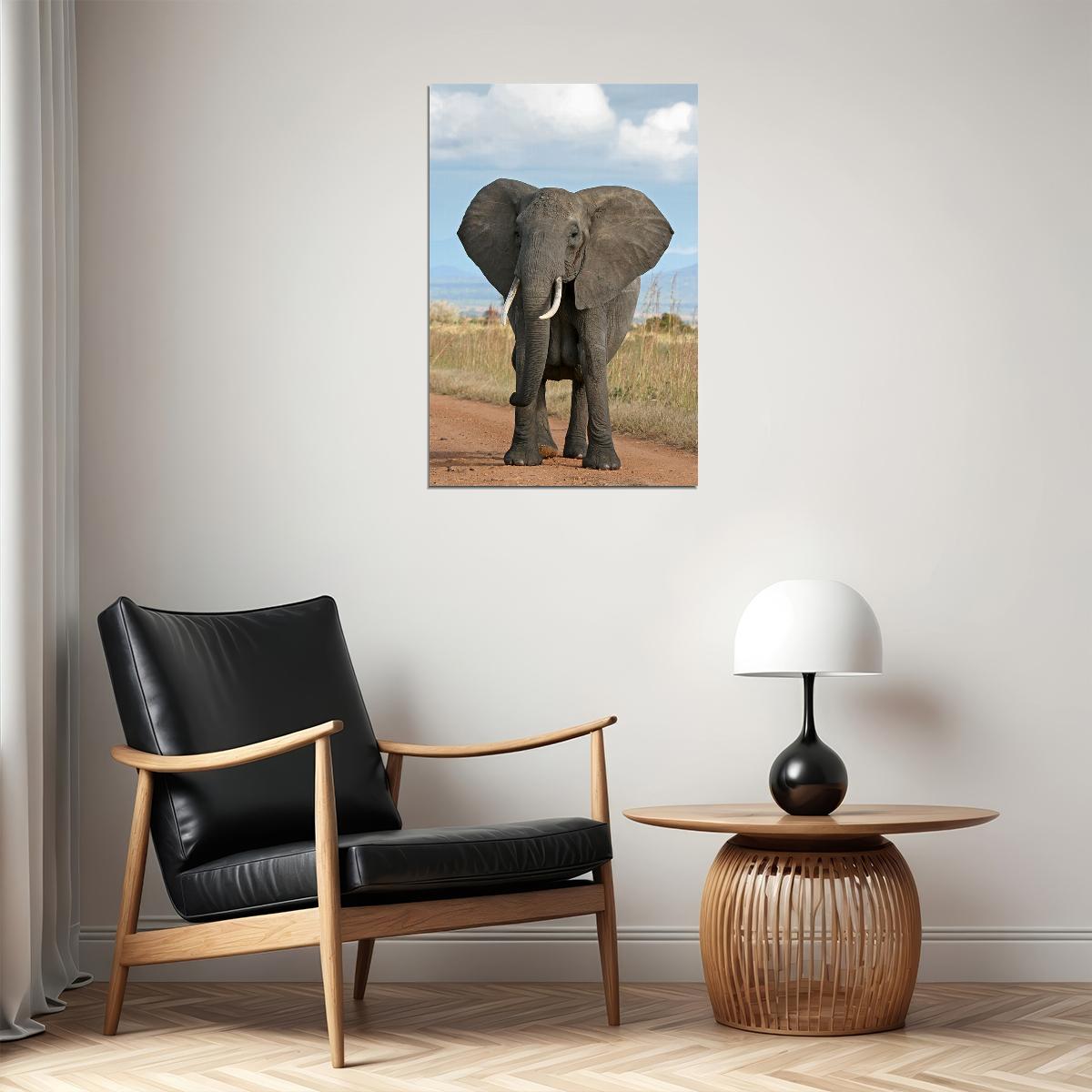 Elephant Looking At Camera Picture Poster Wall Art Print Home Wall Decor - xonomax