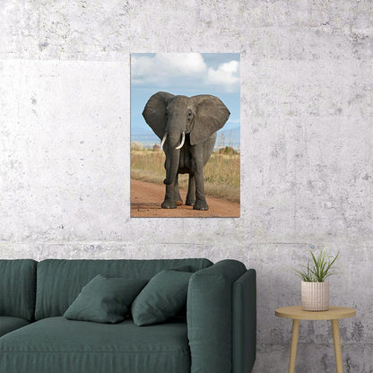 Elephant Looking At Camera Picture Poster Wall Art Print Home Wall Decor - xonomax