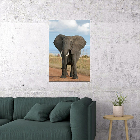 Elephant Looking At Camera Picture Poster Wall Art Print Home Wall Decor - xonomax