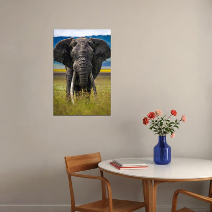 Elephant Approaching Animals Poster Wall Art Print Home Wall Decor - xonomax