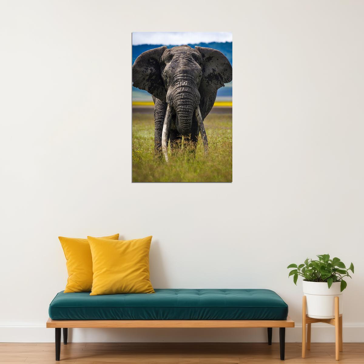 Elephant Approaching Animals Poster Wall Art Print Home Wall Decor - xonomax