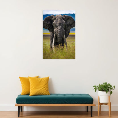 Elephant Approaching Animals Poster Wall Art Print Home Wall Decor - xonomax