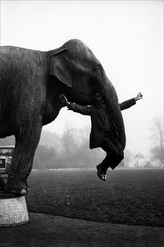 The Man Is In The Elephant's Mouth Vintage Poster Wall Art Print Home Wall Decor - xonomax
