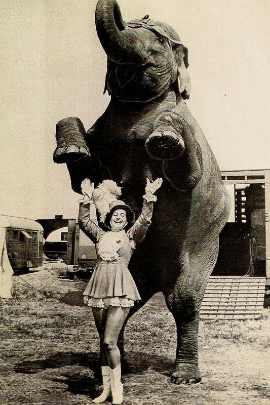 Circus Procession Elephants 1888 Vintage Poster Wall Art Print Home Wall Decor - xonomax