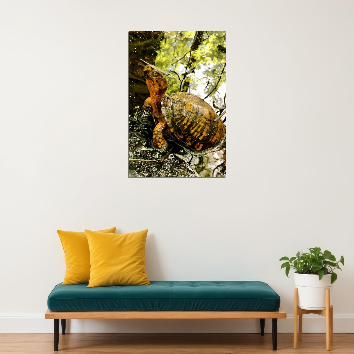 Turtle In Water Reptile Animal Poster Wall Art Print Home Wall Decor