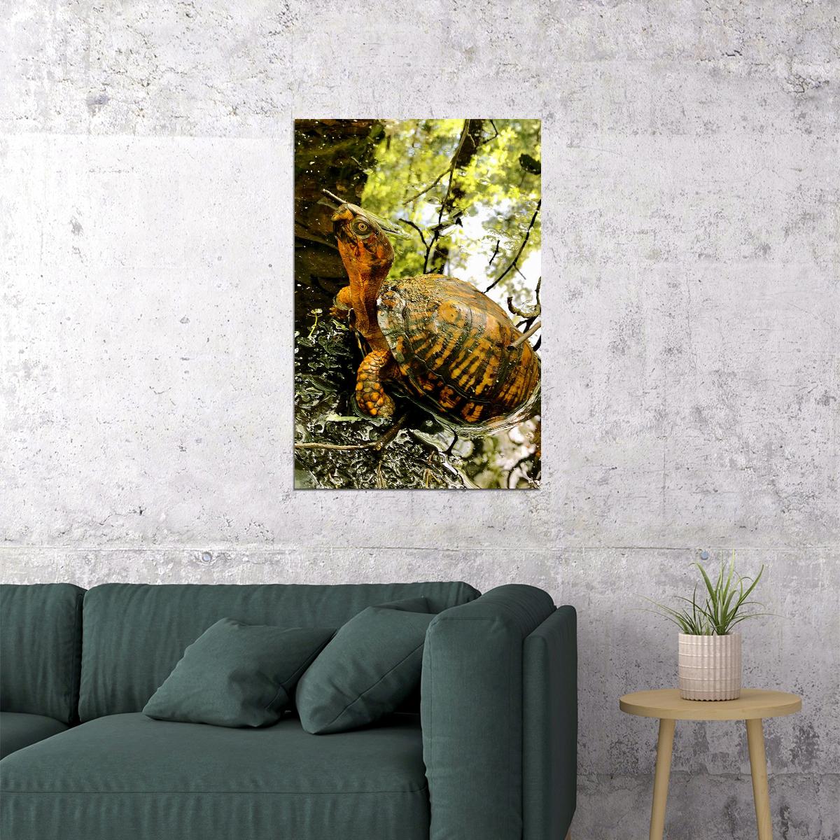 Turtle In Water Reptile Animal Poster Wall Art Print Home Wall Decor