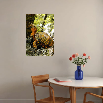 Turtle In Water Reptile Animal Poster Wall Art Print Home Wall Decor