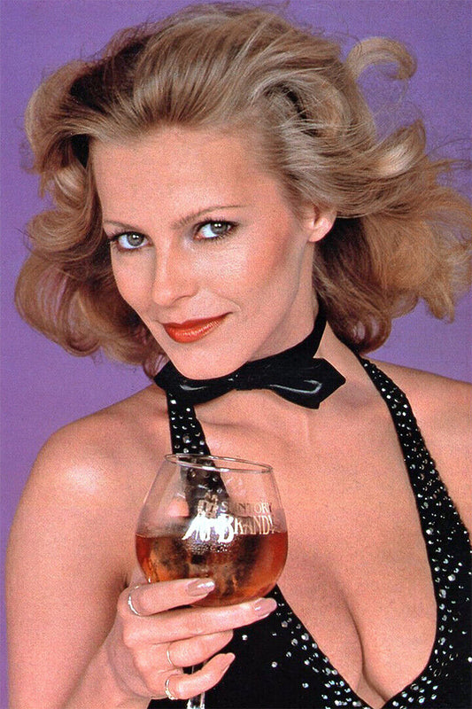 Cheryl Ladd Vintage Celebrity Actress Singer Model Poster Wall Art Print Home Wall Decor - xonomax