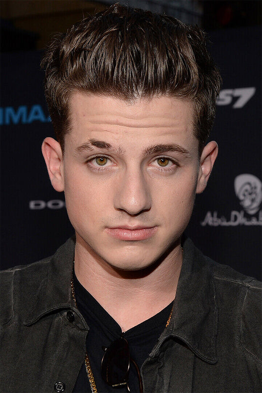 Charlie Puth Celebrity Pop Singer Album Poster Wall Art Print Home Wall Decor - xonomax