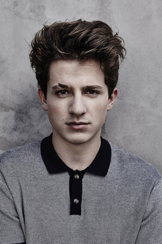 Charlie Puth Celebrity Pop Musician Album Poster Wall Art Print Home Wall Decor - xonomax