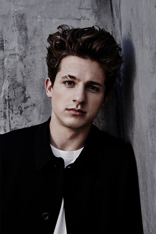 Charlie Puth Celebrity Pop Musician Singer Poster Wall Art Print Home Wall Decor - xonomax