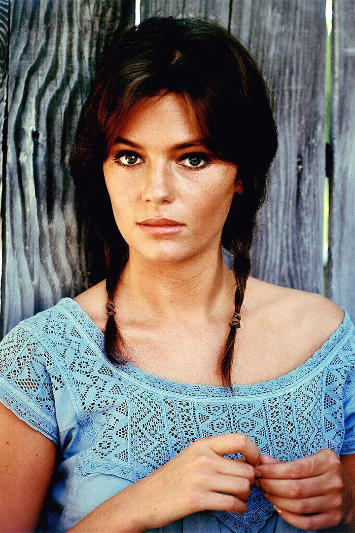 Jacqueline Bisset Female Actress Artist Poster Wall Art Print Home Wall Decor - xonomax