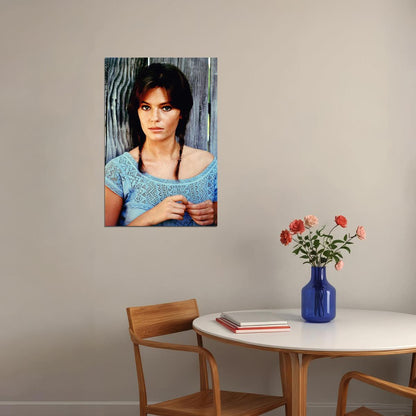 Jacqueline Bisset Female Actress Artist Poster Wall Art Print Home Wall Decor - xonomax
