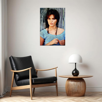Jacqueline Bisset Female Actress Artist Poster Wall Art Print Home Wall Decor - xonomax