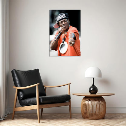 Flavor Flav Celebrity Rapper Music Singer Poster Wall Art Print Home Wall Decor - xonomax