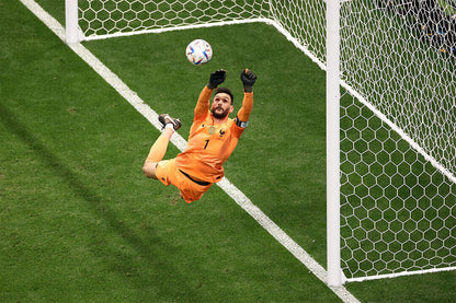 Hugo Lloris Celebration France World Cup Fans Poster Wall Art Print Home Wall Decor - xonomax