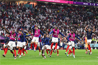 France National Team Celebration World Cup Poster Wall Art Print Home Wall Decor - xonomax