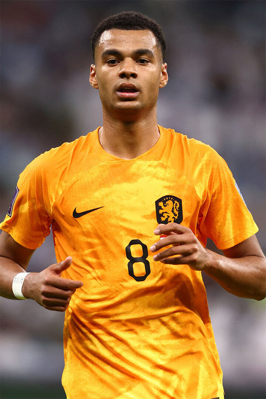 Cody Gakpo Netherlands National Team World Cup Poster Wall Art Print Home Wall Decor - xonomax
