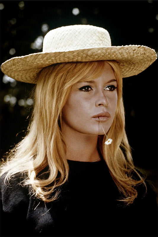 Brigitte Bardot Celebrity Movie Actress Star Poster Wall Art Print Home Wall Decor - xonomax