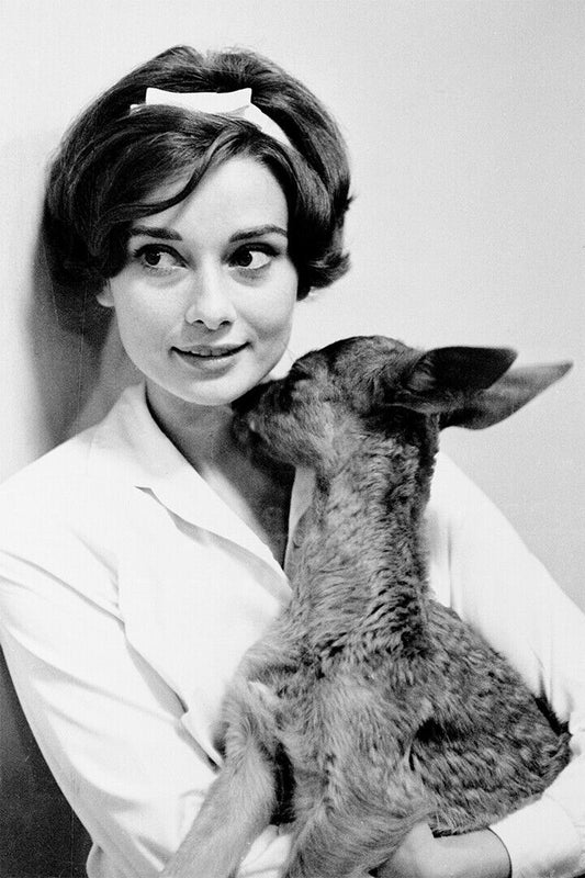 Audrey Hepburn Female Cinema Actress Idol Poster Wall Art Print Home Wall Decor - xonomax