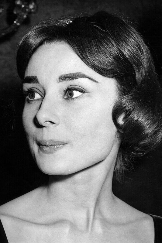 Audrey Hepburn Celebrity Movie Actress Star Poster Wall Art Print Home Wall Decor - xonomax