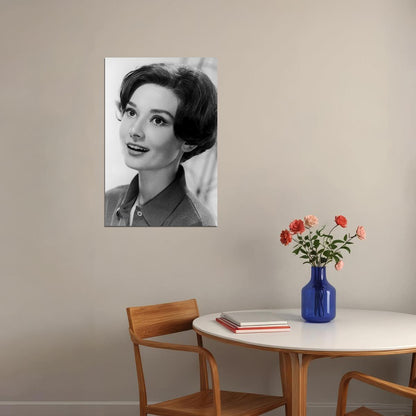 Audrey Hepburn Celebrity Cinema Actress Idol Poster Wall Art Print Home Wall Decor - xonomax