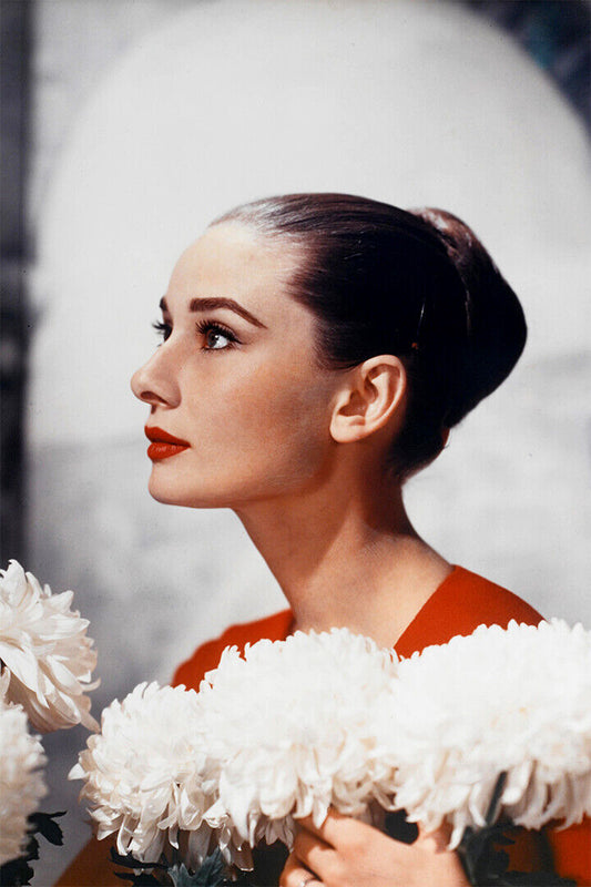 Audrey Hepburn Celebrity Cinema Actress Star Poster Wall Art Print Home Wall Decor - xonomax