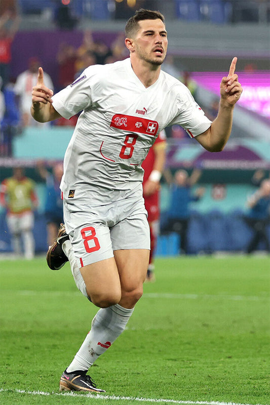 Remo Freuler Goal Celebration Switzerland World Cup Poster Wall Art Print Home Wall Decor - xonomax
