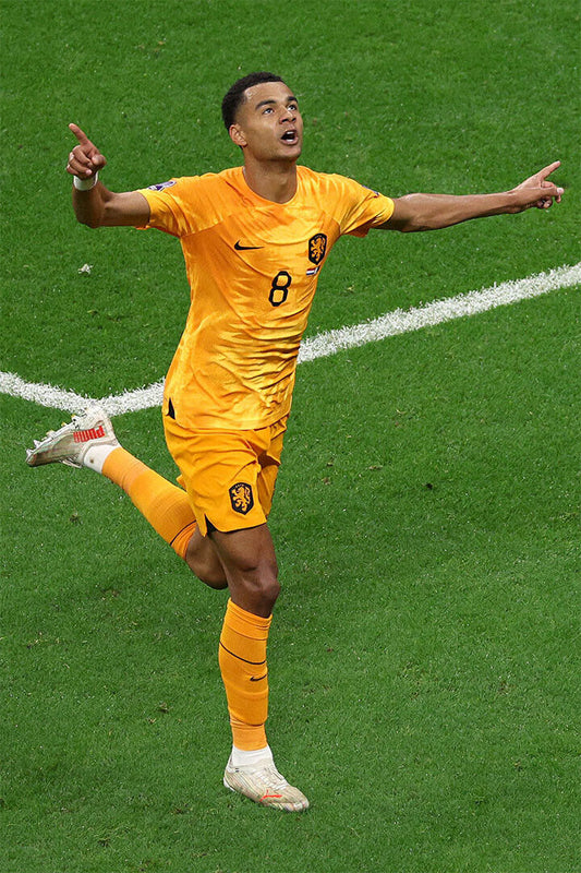 Cody Gakpo Goal Celebration Netherlands World Cup Poster Wall Art Print Home Wall Decor - xonomax