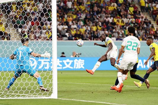 Kalidou Koulibaly Fans Senegal World Cup Poster Wall Art Print Home Wall Decor - xonomax