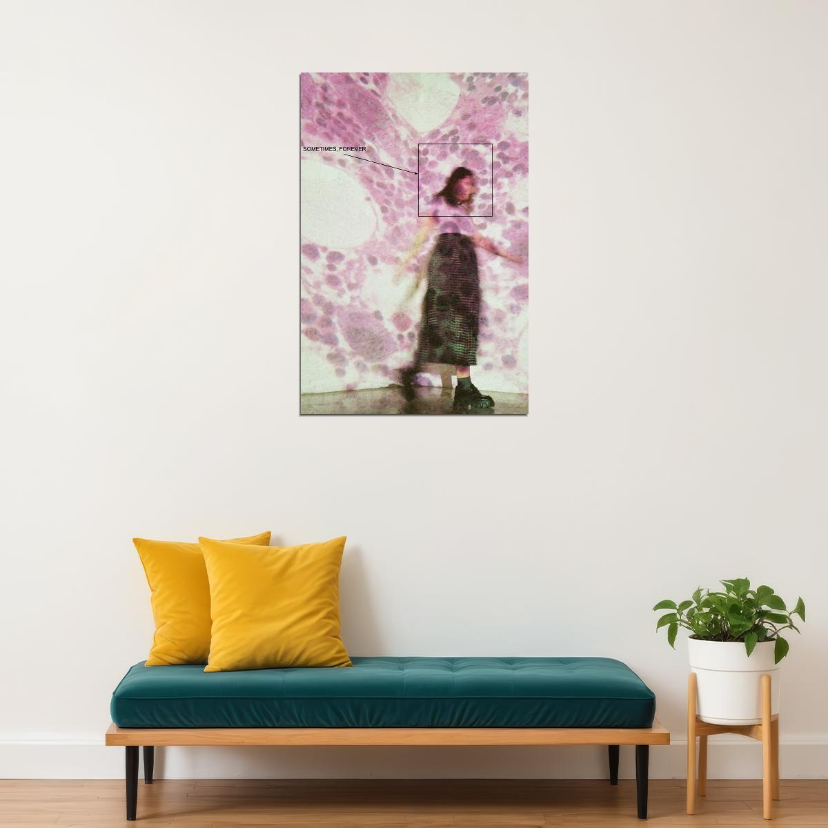 Soccer Mommy Sometimes Forever Music Album Poster Wall Art Print Home Wall Decor - xonomax