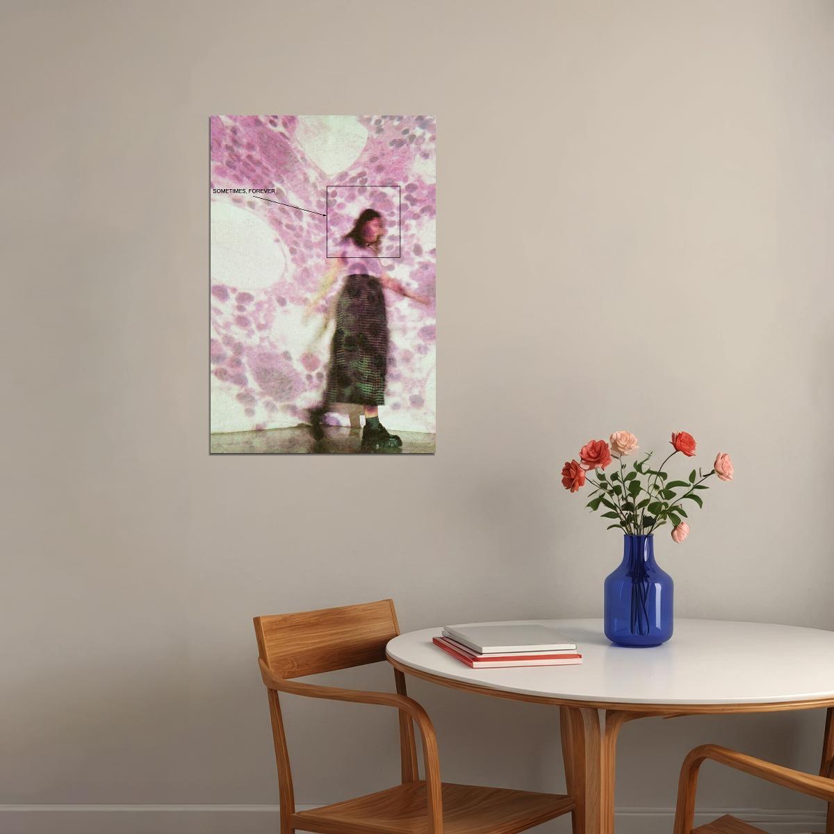 Soccer Mommy Sometimes Forever Music Album Poster Wall Art Print Home Wall Decor - xonomax