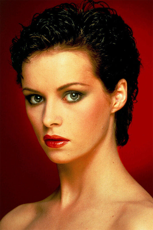Sheena Easton 80s 90s Vintage Singer Actor Star Poster Wall Art Print Home Wall Decor - xonomax